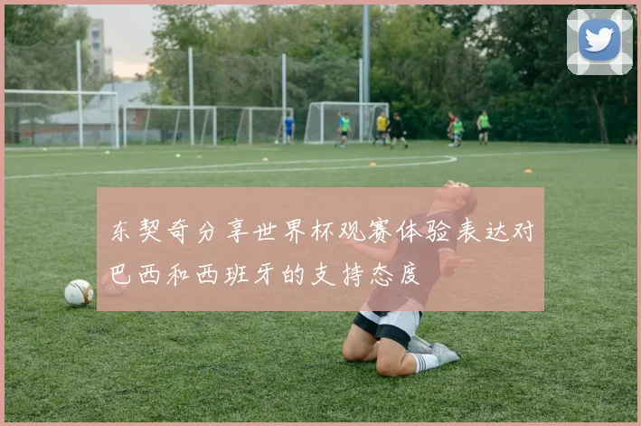 东契奇分享世界杯观赛体验表达对巴西和西班牙的支持态度